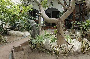 Amar Inn Bed & Breakfast Puerto Morelos Hotel