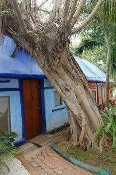 Szálloda Amar Inn Bed & Breakfast Puerto Morelos