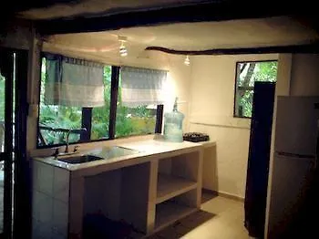 Amar Inn Bed & Breakfast プエルト・モレロス