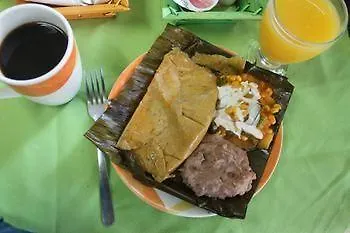 Amar Inn Bed & Breakfast プエルト・モレロス メキシコ